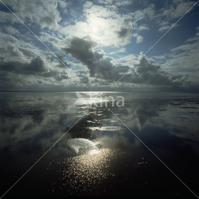 Waddenzee