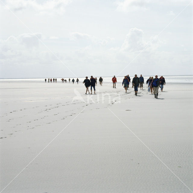 Waddenzee