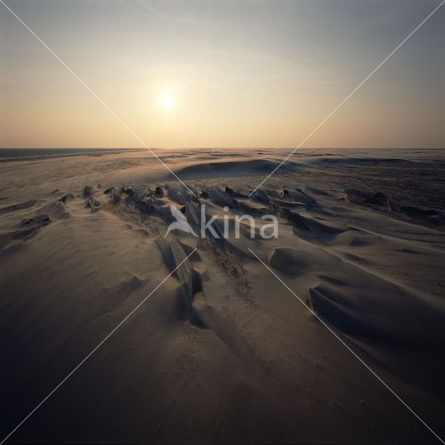 Waddenzee