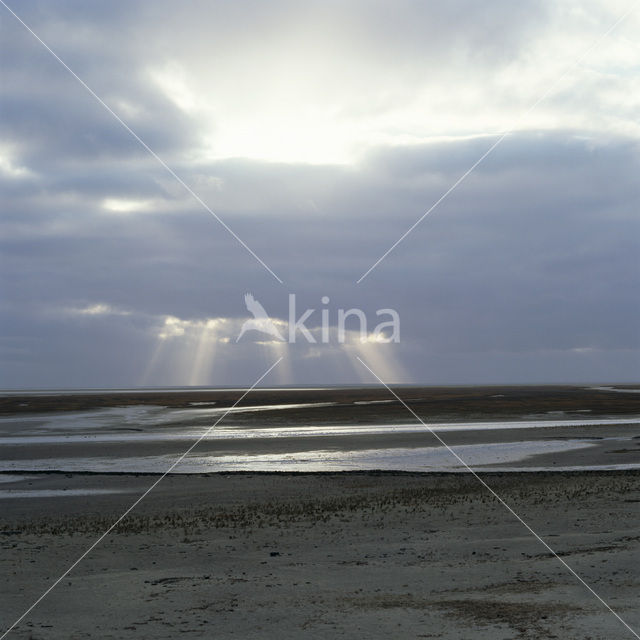 Waddenzee