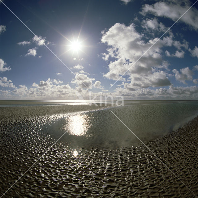 Waddensea