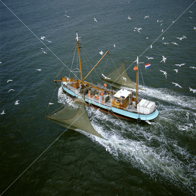 Waddensea