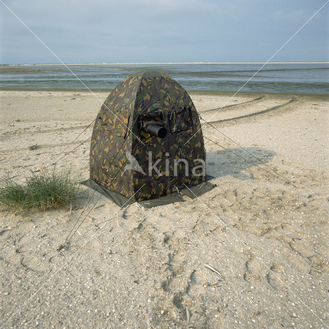 Waddenzee