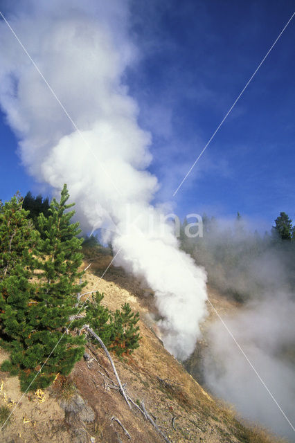 Yellowstone national park