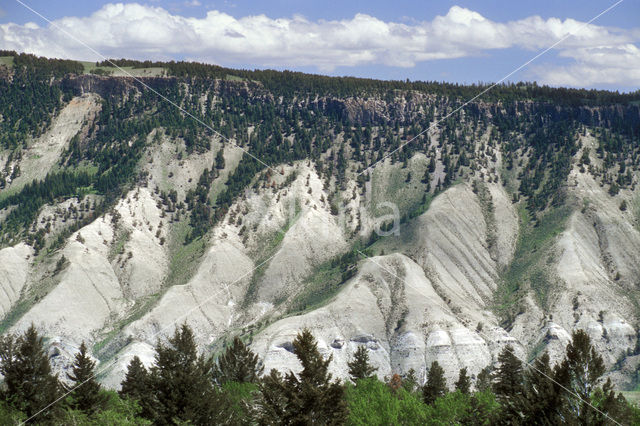 Yellowstone national park