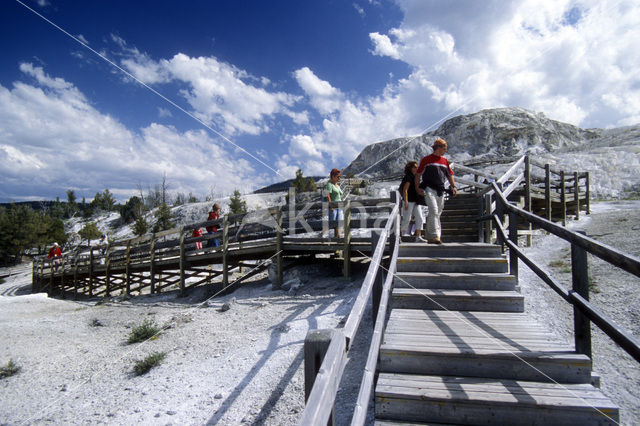 Yellowstone national park