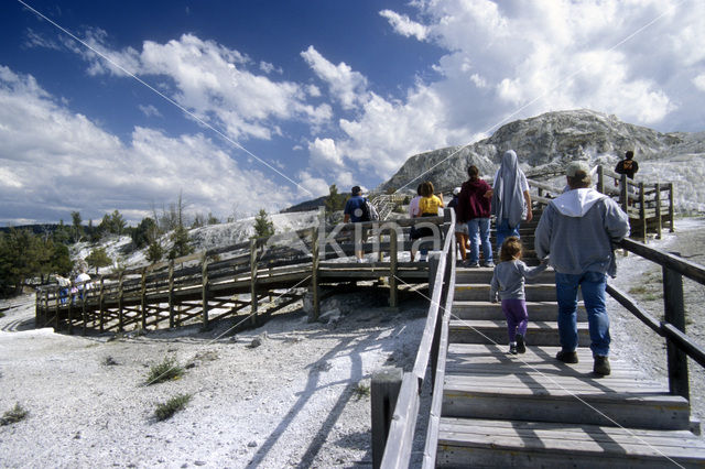 Yellowstone national park