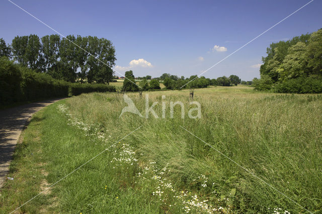 Droogdal van Terhorst