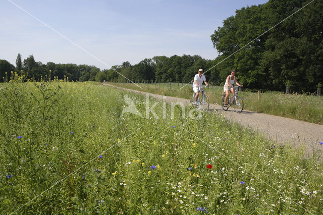 Geleenbeekdal