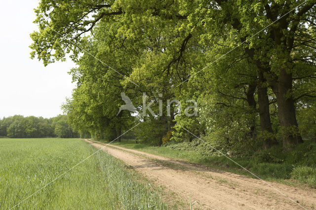 Landgoed De Klencke