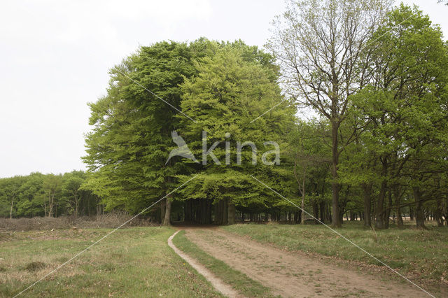 Landgoed De Klencke