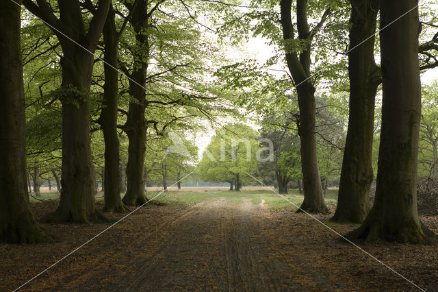 Landgoed De Klencke