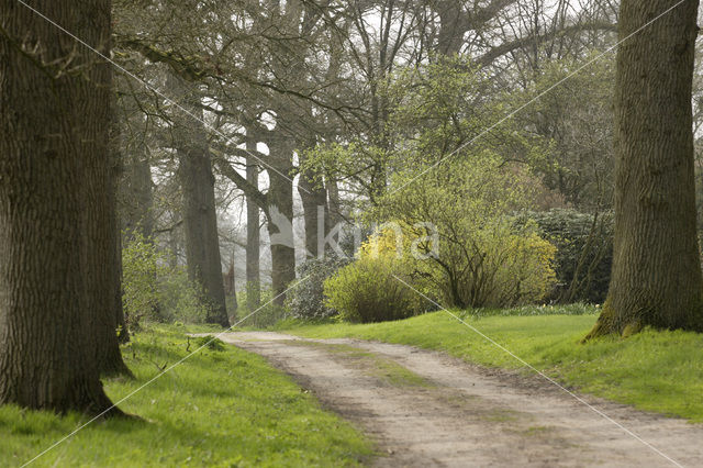 Landgoed Eerde