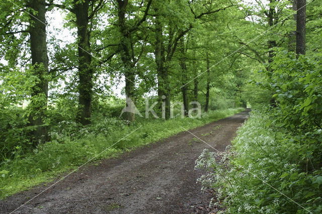 Landgoed Leusveld