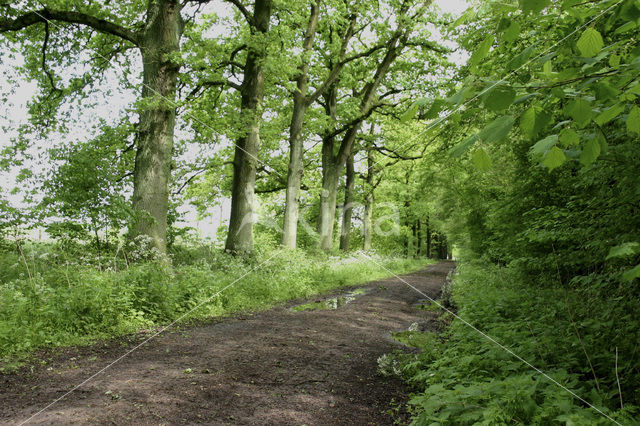 Landgoed Leusveld