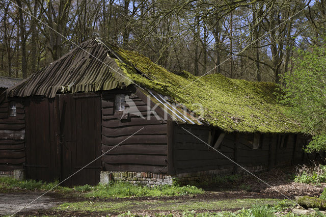 Landgoed Leuvenhorst