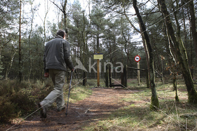 Leuvenumse Bos