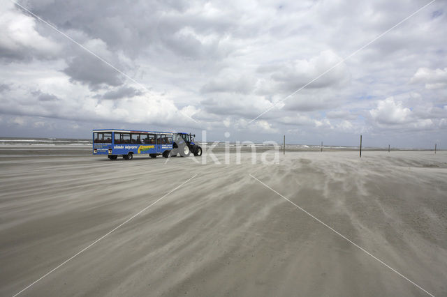 National Park Schiermonnikoog