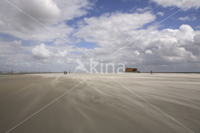 Nationaal park Schiermonnikoog