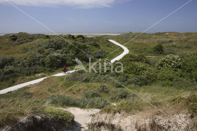 Nationaal park Schiermonnikoog