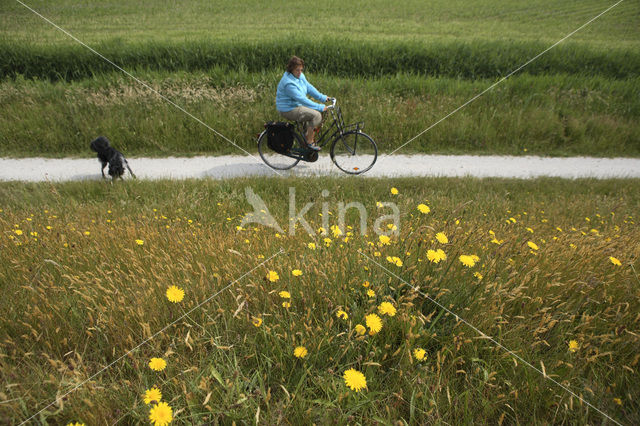 Nationaal park Schiermonnikoog