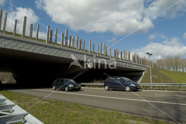 Natuurbrug Het Groene Woud