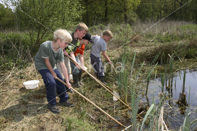 Norger Esdorpenlandschap