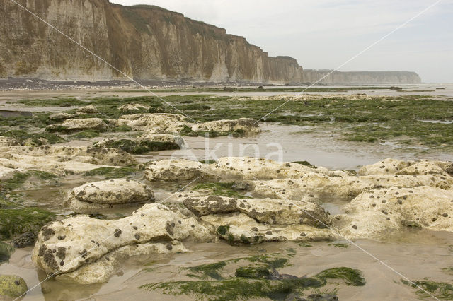 Seine-Maritime