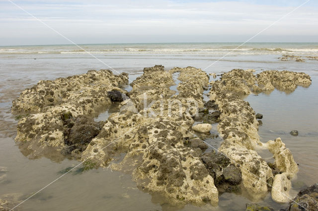 Seine-Maritime