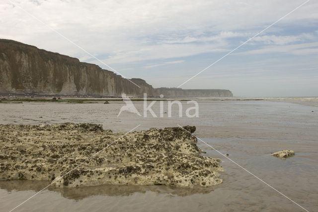 Seine-Maritime