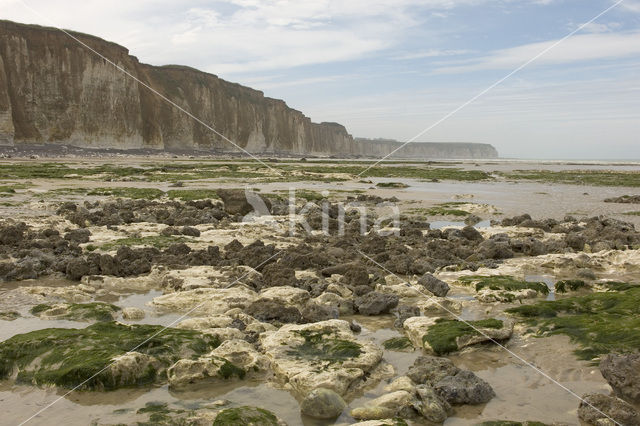 Seine-Maritime