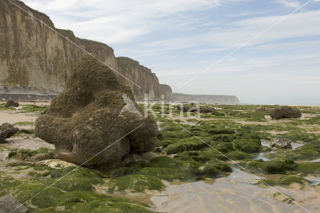 Seine-Maritime