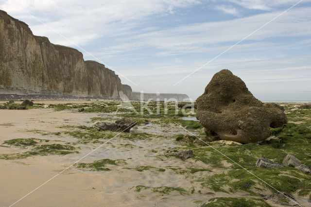 Seine-Maritime