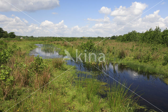 Soerense Broek