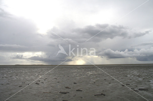 Waddenzee