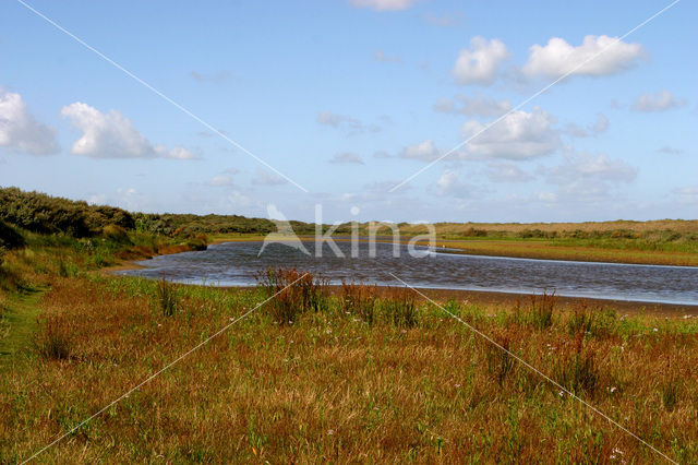 Duinen van Goeree