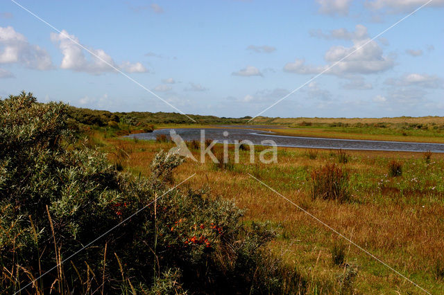 Duinen van Goeree