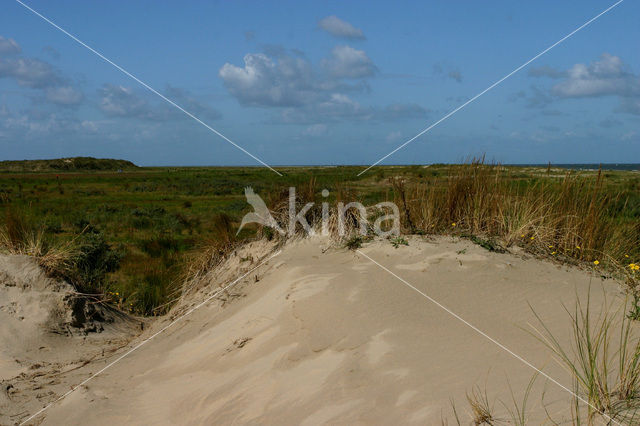 Duinen van Goeree