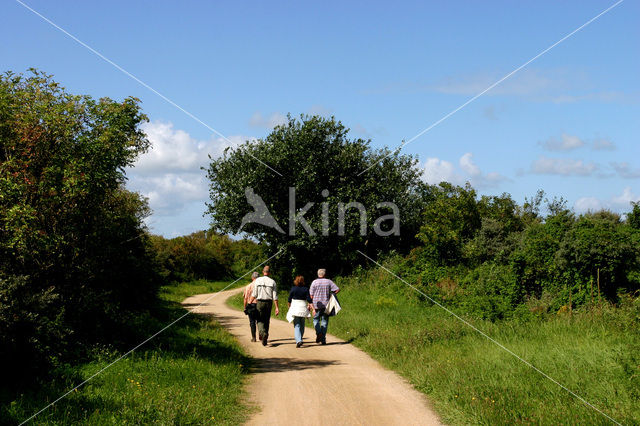 Duinen van Goeree