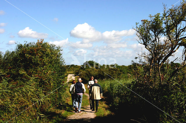 Duinen van Goeree