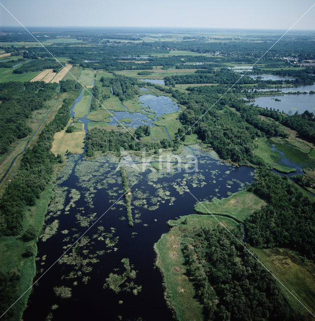 Kortenhoefse Plassen