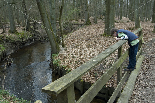 Landgoed Leuvenhorst