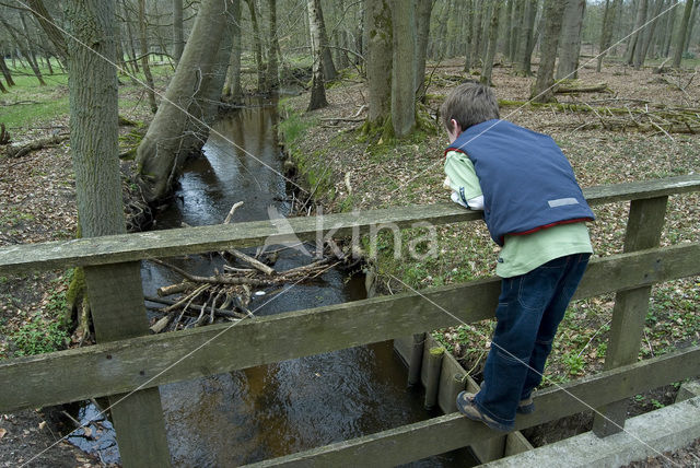 Landgoed Leuvenhorst