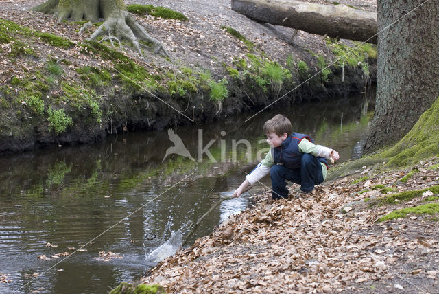 Landgoed Leuvenhorst