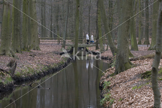 Landgoed Leuvenhorst