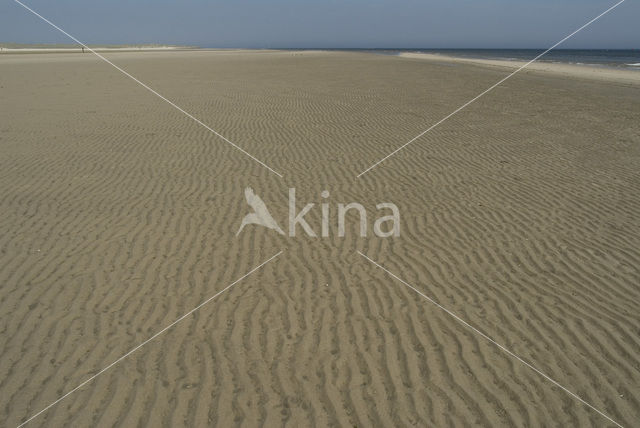 Nationaal Park Duinen van Texel