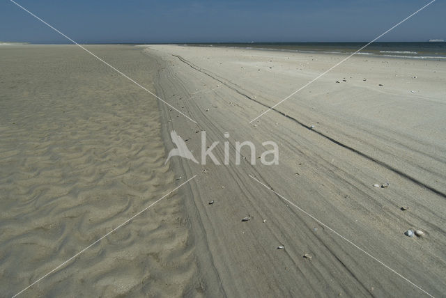 Nationaal Park Duinen van Texel