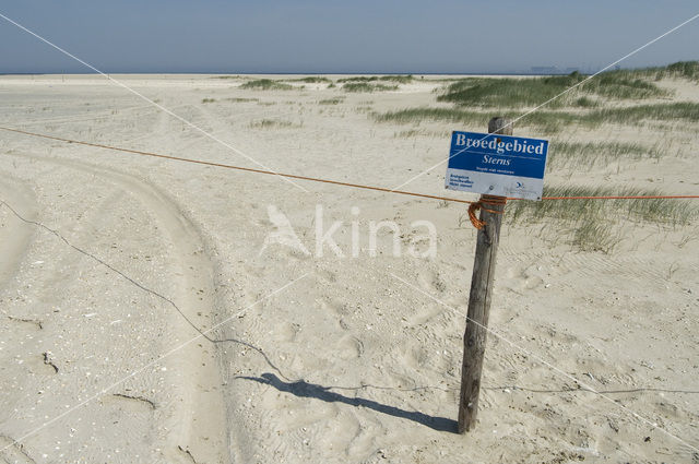 Nationaal Park Duinen van Texel