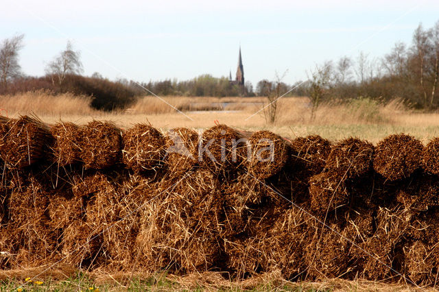 Nieuwkoopse Plassen