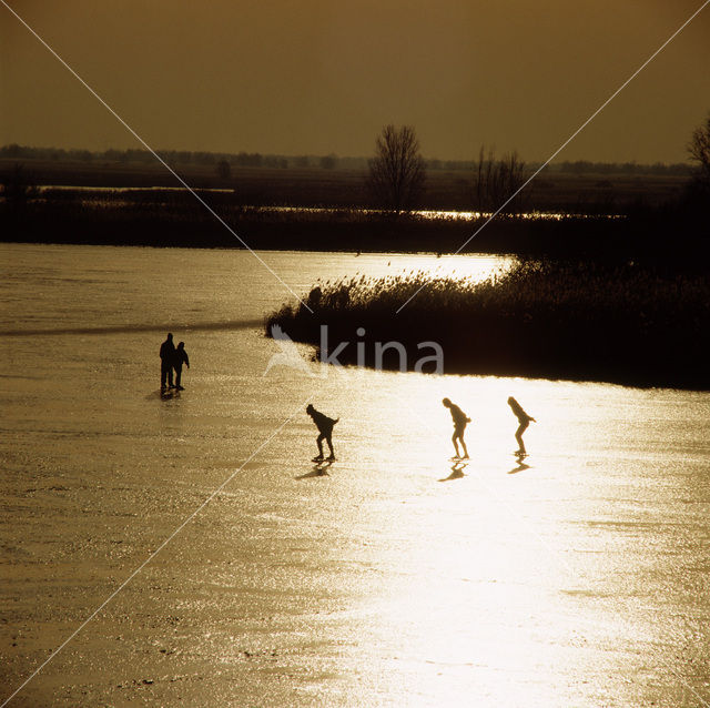 Oostvaardersplassen